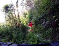 Descubre las mejores rutas en quad para un emocionante turismo en Gijón